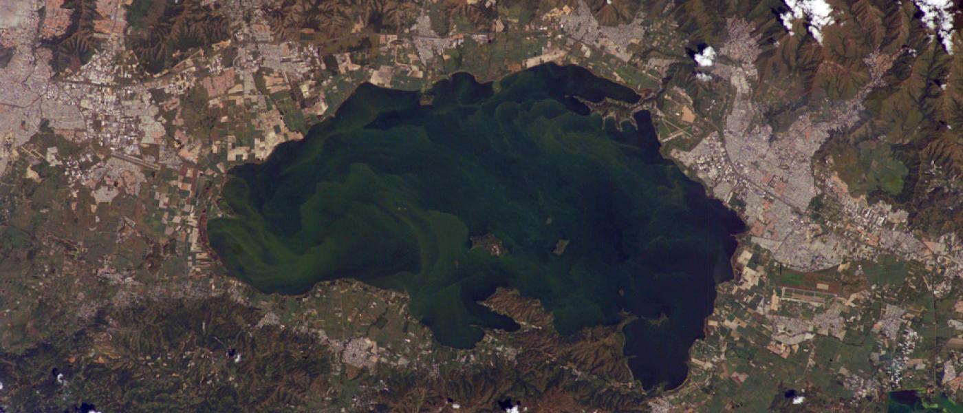Lago